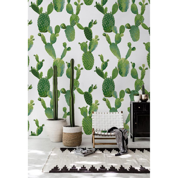 Fotobehang Tropische Cactusjacht