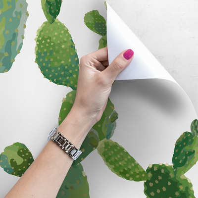 Fotobehang Tropische Cactusjacht