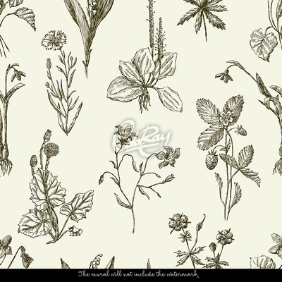 Fotobehang Elegantie in eenvoud