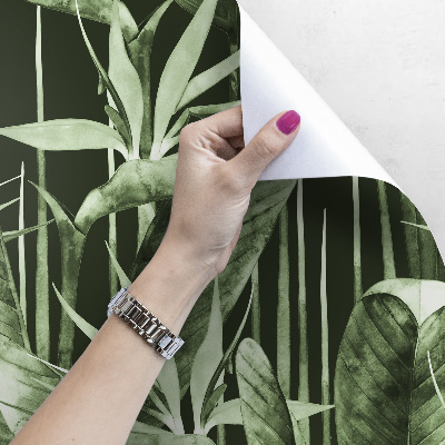 Fotobehang Een wandeling in de diepe jungle