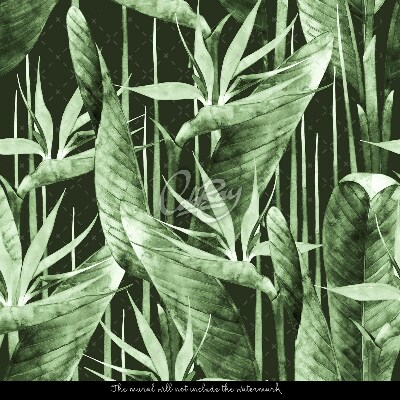 Fotobehang Een wandeling in de diepe jungle