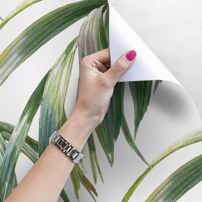 Fotobehang Kleurrijke bladeren