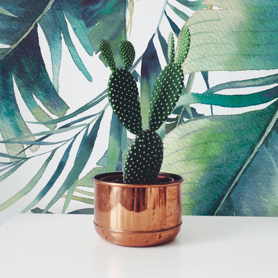 Fotobehang Elegante tropische accessoires