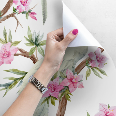 Fotobehang In het koninkrijk van de witte pauwen