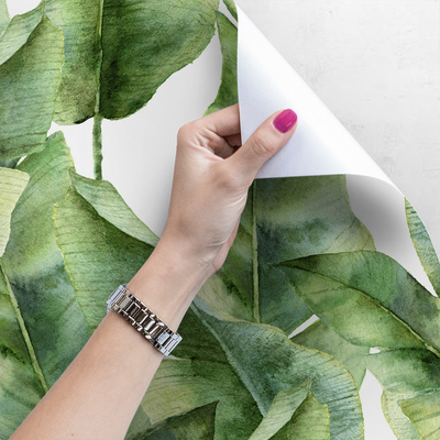 Fotobehang Bananenpalmbladeren