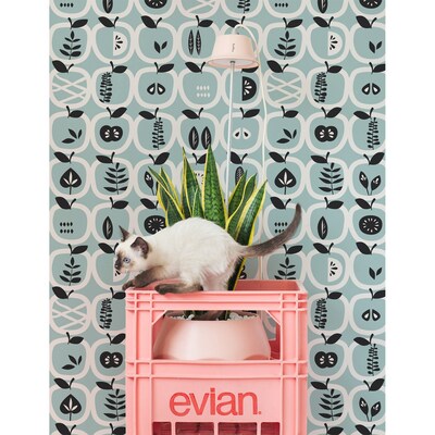 Fotobehang Betoverde appels