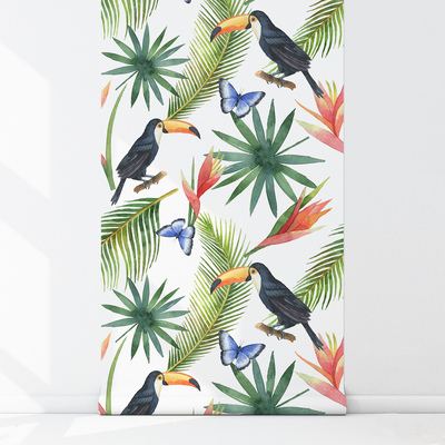 Fotobehang In de paradijselijke wereld van toekans