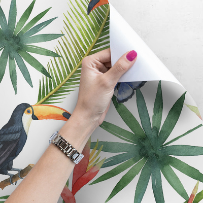 Fotobehang In de paradijselijke wereld van toekans