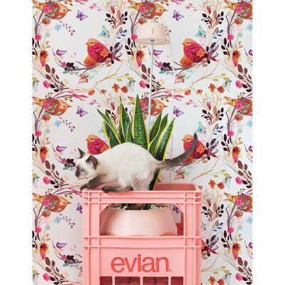 Fotobehang Romantische twijgen