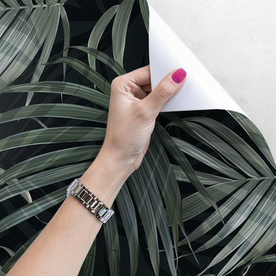 Fotobehang De ware schoonheid van Monstera