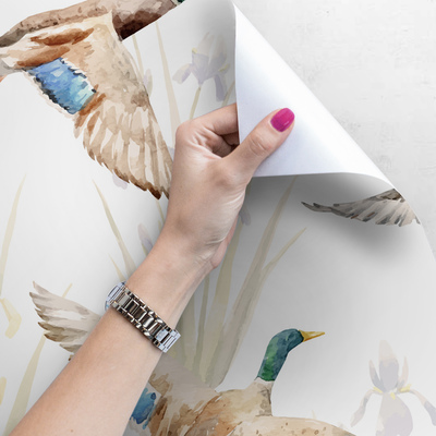 Fotobehang Eendenfamilie