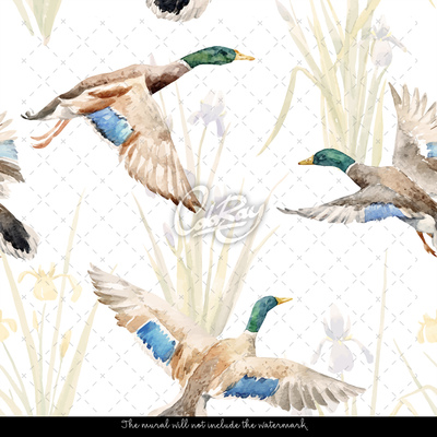 Fotobehang Eendenfamilie