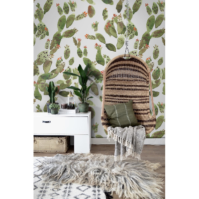 Fotobehang Delicate Cactussen