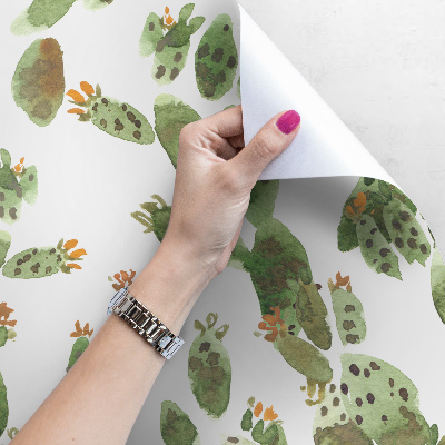 Fotobehang Delicate Cactussen