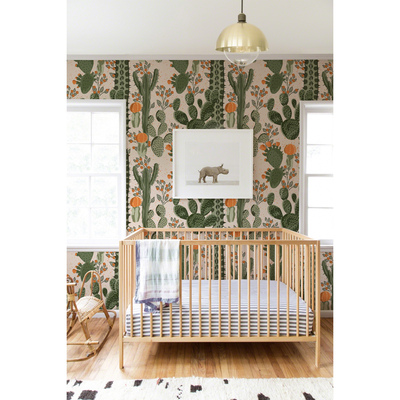 Fotobehang Verfrissende Cactussen