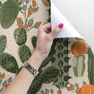 Fotobehang Verfrissende Cactussen