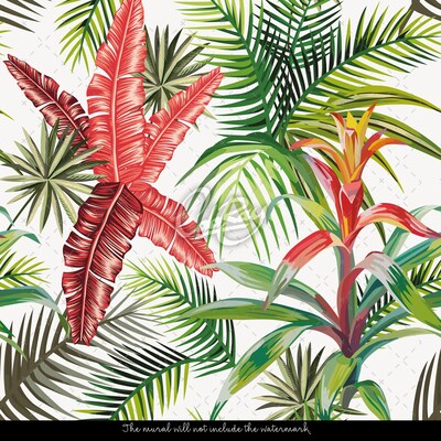 Fotobehang Groot Jungle Avontuur