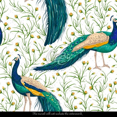 Fotobehang Majestueuze pauw charme