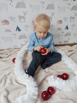 Fotobehang Kamperen in een bos vol dieren