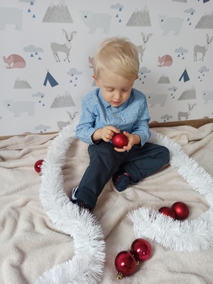 Fotobehang Kamperen in een bos vol dieren
