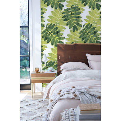 Fotobehang Ontspan in de schaduw van acaciabladeren