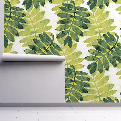 Fotobehang Ontspan in de schaduw van acaciabladeren