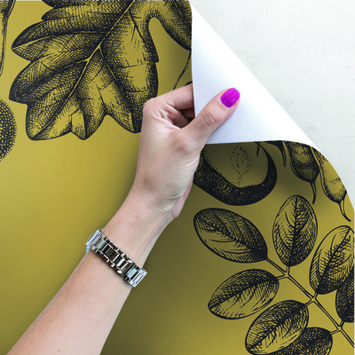 Fotobehang Ontspannende momenten in een bosrijke omgeving