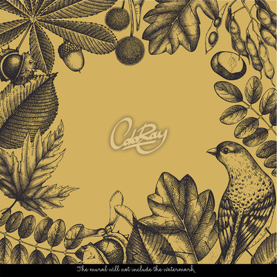 Fotobehang Ontspannende momenten in een bosrijke omgeving