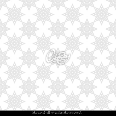 Fotobehang Minimalistische symmetrische sterren