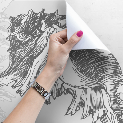 Fotobehang Het geluid van de zee, ingesloten in schelpen