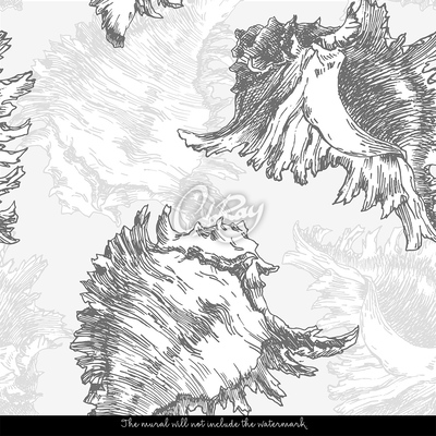 Fotobehang Het geluid van de zee, ingesloten in schelpen