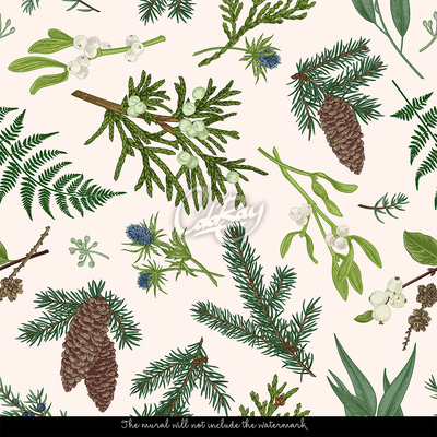 Fotobehang Laten we onder de maretak gaan