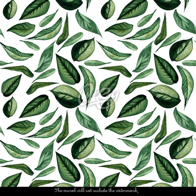 Fotobehang Dicht bij de natuur