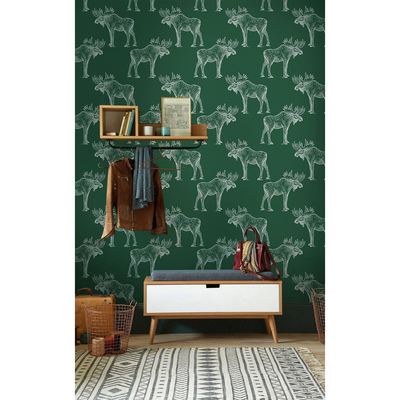 Fotobehang Blijkbaar heeft iemand ooit een eland op een fiets zien stappen.