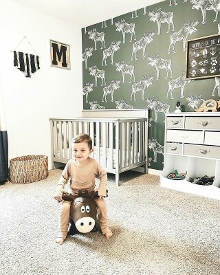 Fotobehang Blijkbaar heeft iemand ooit een eland op een fiets zien stappen.