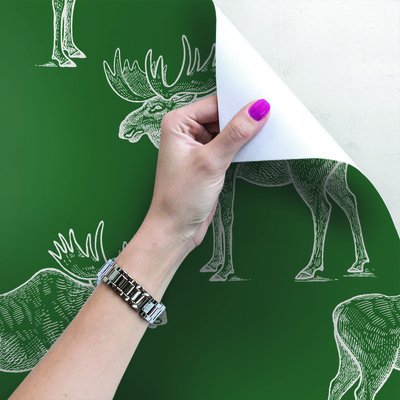 Fotobehang Blijkbaar heeft iemand ooit een eland op een fiets zien stappen.