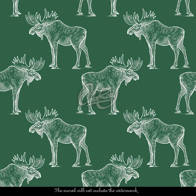 Fotobehang Blijkbaar heeft iemand ooit een eland op een fiets zien stappen.