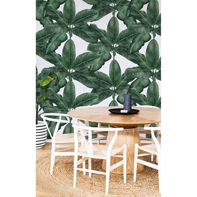 Fotobehang Onder de gigantische bananenbladparaplu