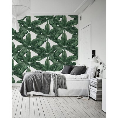 Fotobehang Onder de gigantische bananenbladparaplu