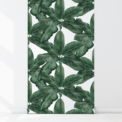 Fotobehang Onder de gigantische bananenbladparaplu