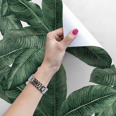 Fotobehang Onder de gigantische bananenbladparaplu