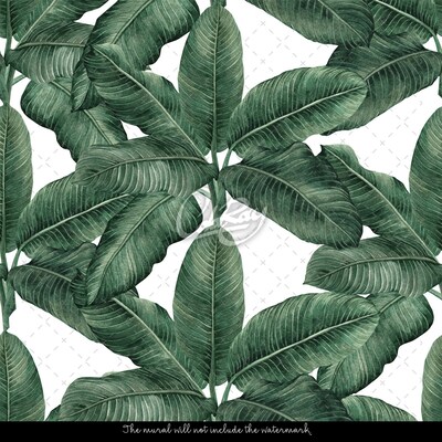 Fotobehang Onder de gigantische bananenbladparaplu