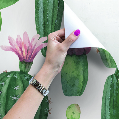 Fotobehang Helemaal Cactus