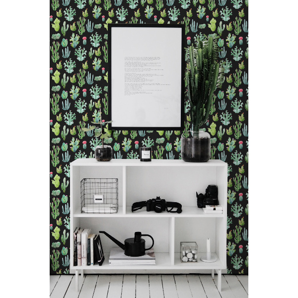 Fotobehang Kleine cactussen op een zwarte achtergrond