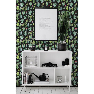 Fotobehang Kleine cactussen op een zwarte achtergrond