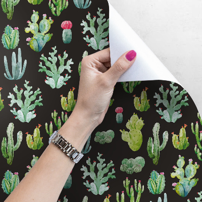 Fotobehang Kleine cactussen op een zwarte achtergrond