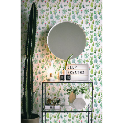 Fotobehang Kleine cactussen op een witte achtergrond