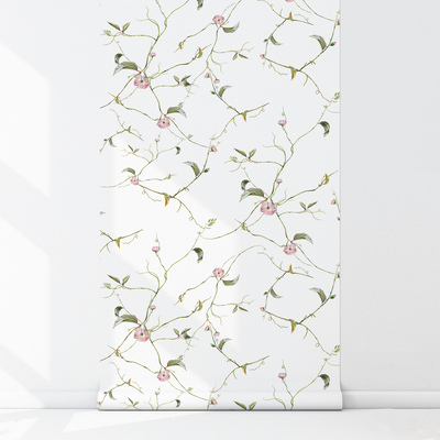 Fotobehang Subtiele wijnranken