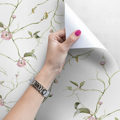 Fotobehang Subtiele wijnranken