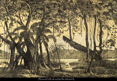 Fotobehang De roep van Zuid-Amerika